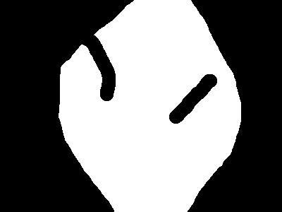 s2s_cent_mask2.png