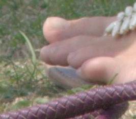 toes.jpg