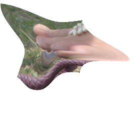 pdd_pcpm_toes.miffpng